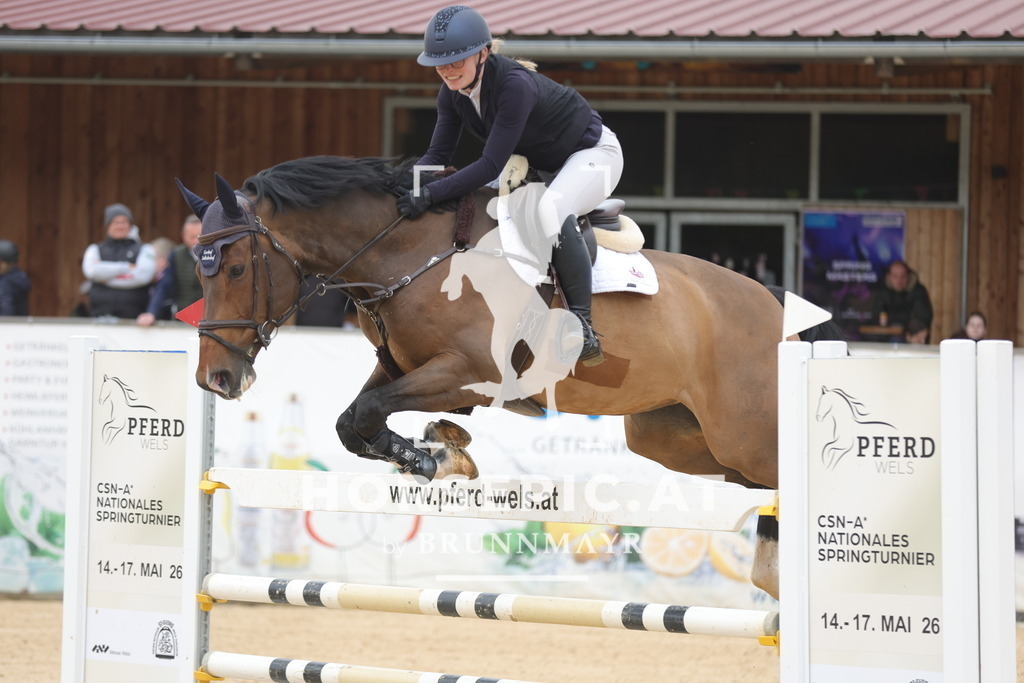 0P6A2817 | Willkommen bei Brunnmayr - Design & Fotografie – Ihrem Spezialisten für Reitturniere und Pferdeveranstaltungen in Oberösterreich, Salzburg und Bayern! Seit über 17 Jahren sind wir leidenschaftlich dabei.