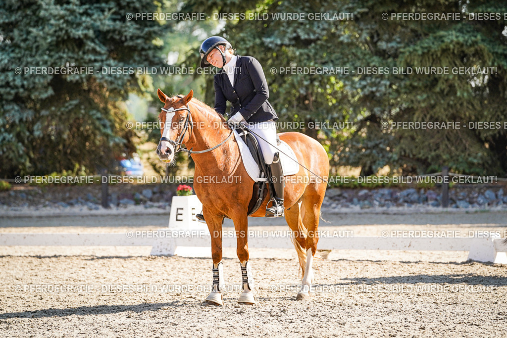 DSC00076 | Pferdegrafie