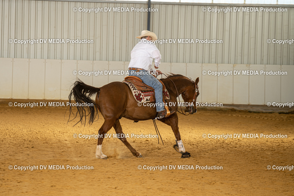 MIT00156 | dv-media-shop - Realisiert mit Pictrs.com