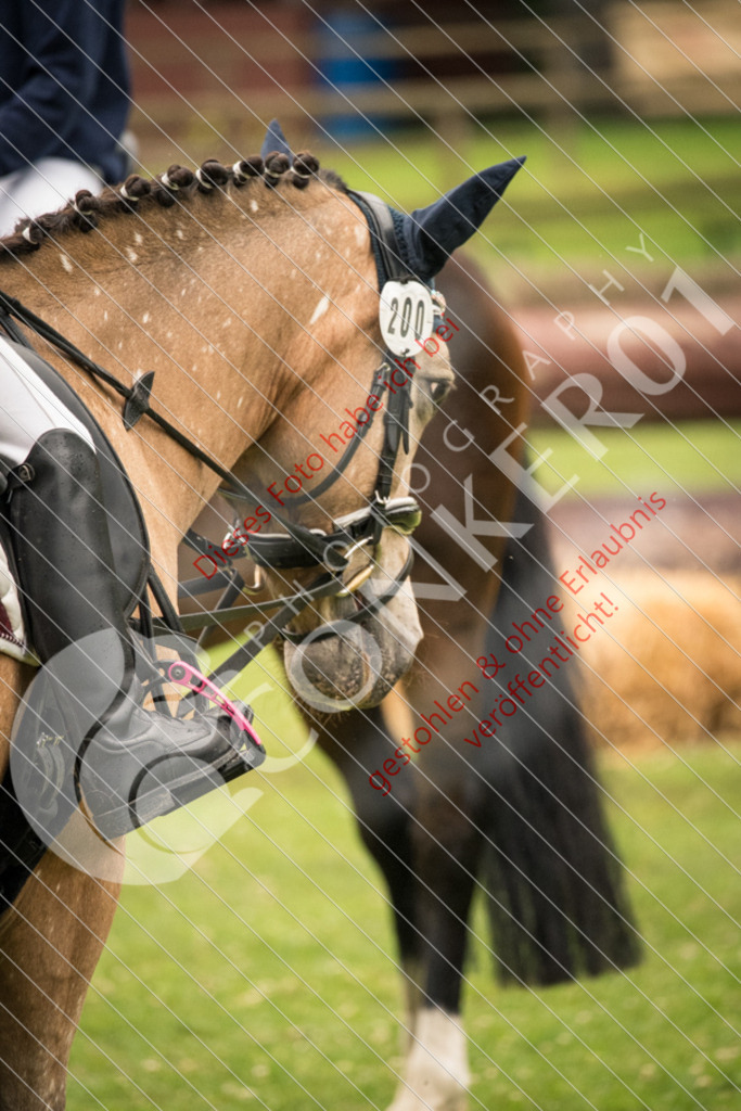 DSC_4798 | Sport-, Event- und Tierfotos in Profiqualität. Einfach auswählen, bestellen und herunterladen. Dein Moment – perfekt festgehalten.
