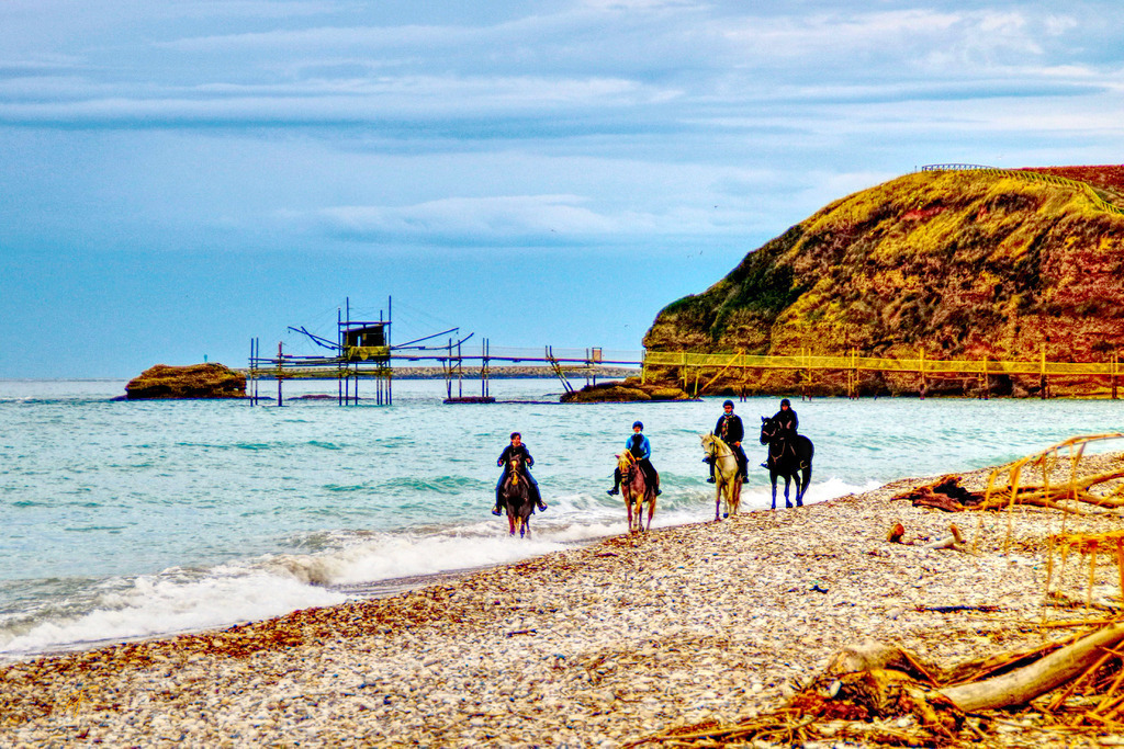 Reiter vor Tronchetto | www-pimpup-me - Realisiert mit Pictrs.com