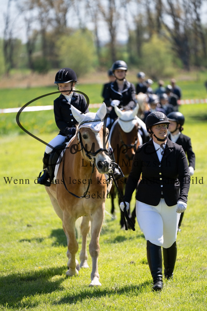 A7V01189 | Pferdefotograf