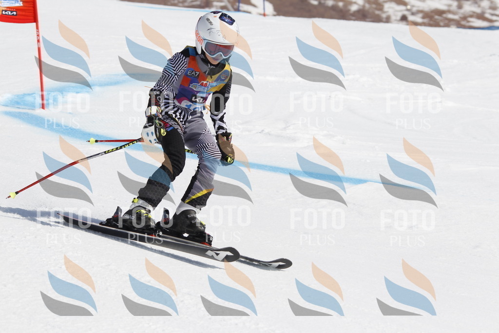 _U3G0344 | holidayphoto