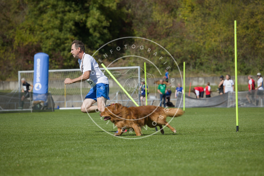 0L8A6428 | Hundefotografie, Tierfotograf, Pfotenfotografie, Fotoshooting Hund, Hunde Portrait, Hundesport, Hundeportraits, Heideshooting, Hunde, Sportfotograf, Hundefotograf, Turnierhundsport, THS,  - Realisiert mit Pictrs.com