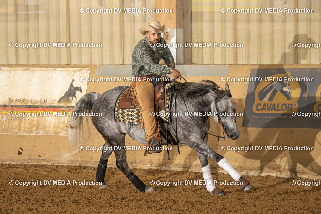 LAU00870 | dv-media-shop - Realisiert mit Pictrs.com