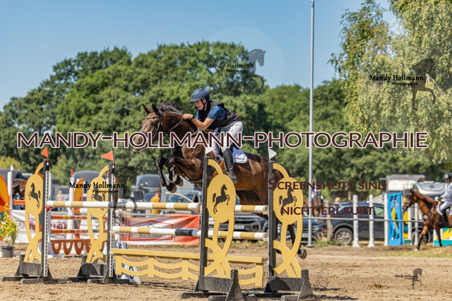 26-8-9 SPR M-311 | mandyhollmannphotographie