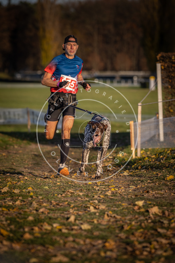 CaniXpix_DV3A3955 | Hundefotografie, Tierfotograf, Pfotenfotografie, Fotoshooting Hund, Hunde Portrait, Hundesport, Hundeportraits, Heideshooting, Hunde, Sportfotograf, Hundefotograf, Turnierhundsport, THS,  - Realisiert mit Pictrs.com