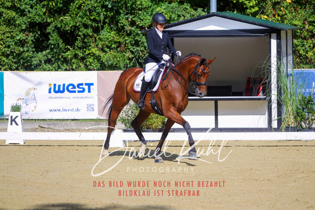 DKP40787 | Turniersportfotografie; Pferdefotografie; Dressurfotografie