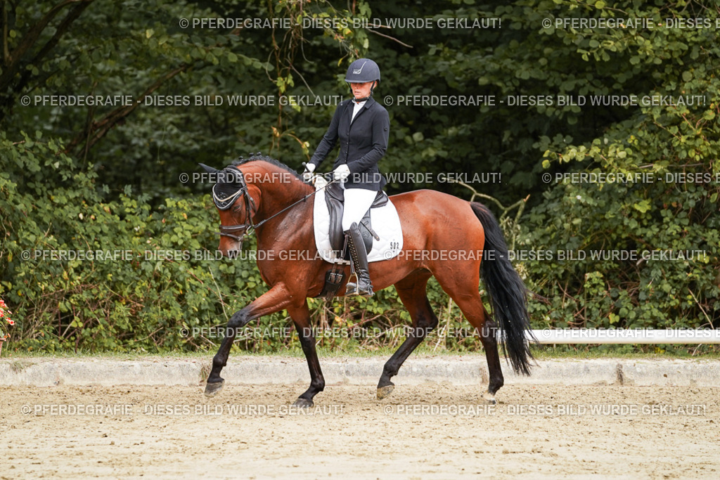 DSC09272 | Pferdegrafie