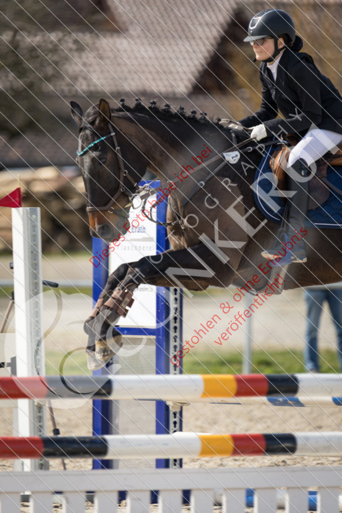 IMG_4244 | Sport-, Event- und Tierfotos in Profiqualität. Einfach auswählen, bestellen und herunterladen. Dein Moment – perfekt festgehalten.
