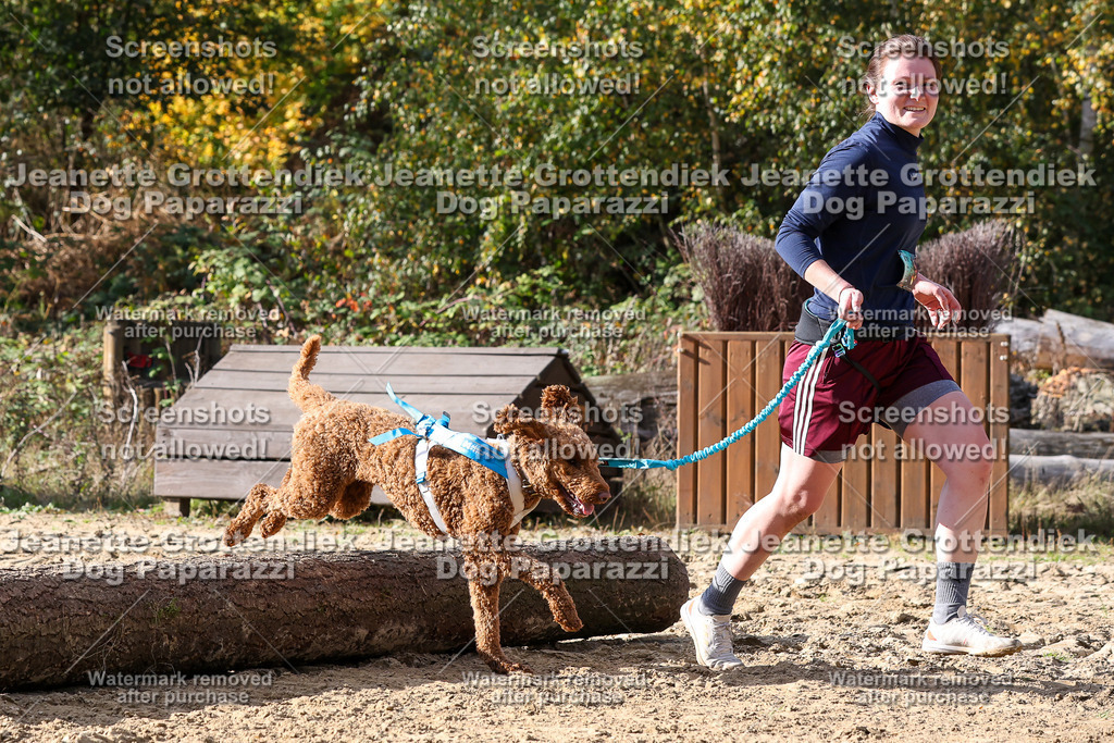 Dog Paparazzi - Strongdog 10-25-5764 | Dog Paparazzi Jeanette Grottendiek Fotografie & Videografie - Realisiert mit Pictrs.com