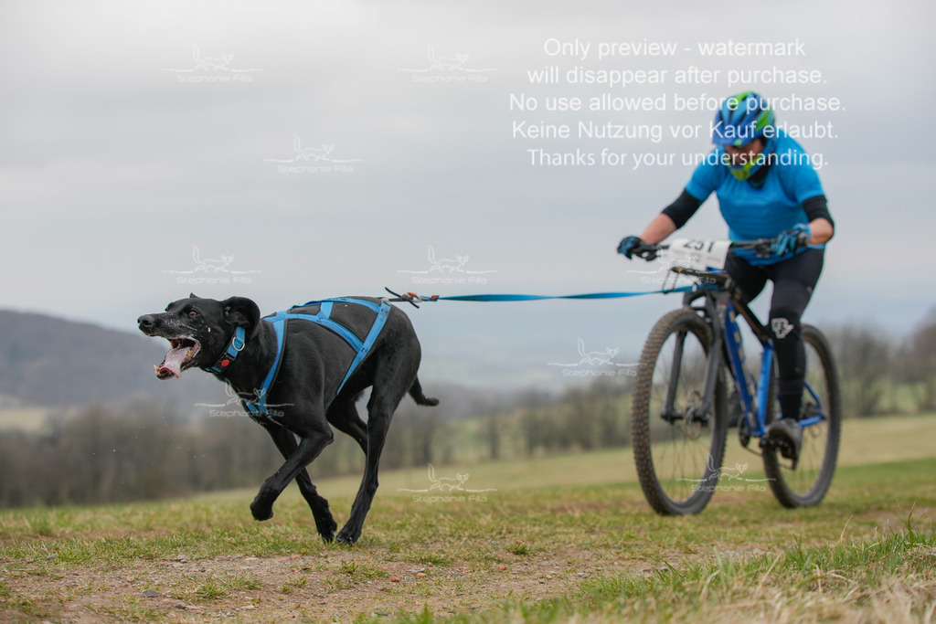 BikeSA-303 | stephaniefillaphotographie - Realisiert mit Pictrs.com