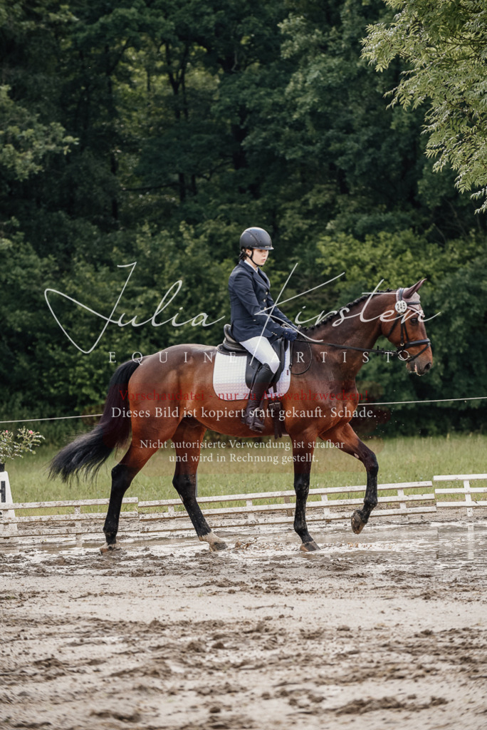 DSC_8577 | Pferde- und Turnierfotografie in Westsachsen. Pferdeportraits, Auftragszeichnungen und intuitive Kunst.