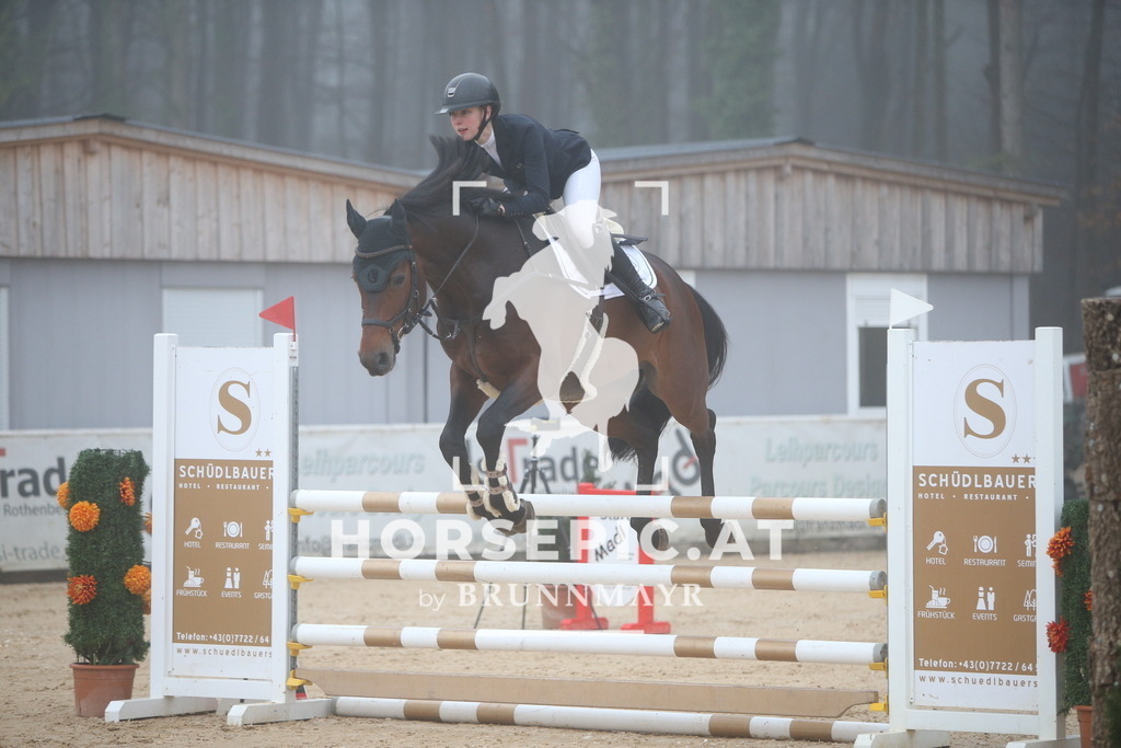 PP012416 | Willkommen bei Brunnmayr - Design & Fotografie – Ihrem Spezialisten für Reitturniere und Pferdeveranstaltungen in Oberösterreich, Salzburg und Bayern! Seit über 17 Jahren sind wir leidenschaftlich dabei.