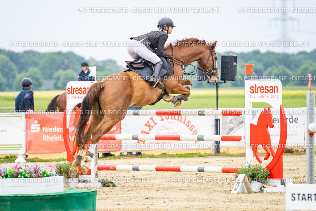 DSC07214 | Pferdegrafie