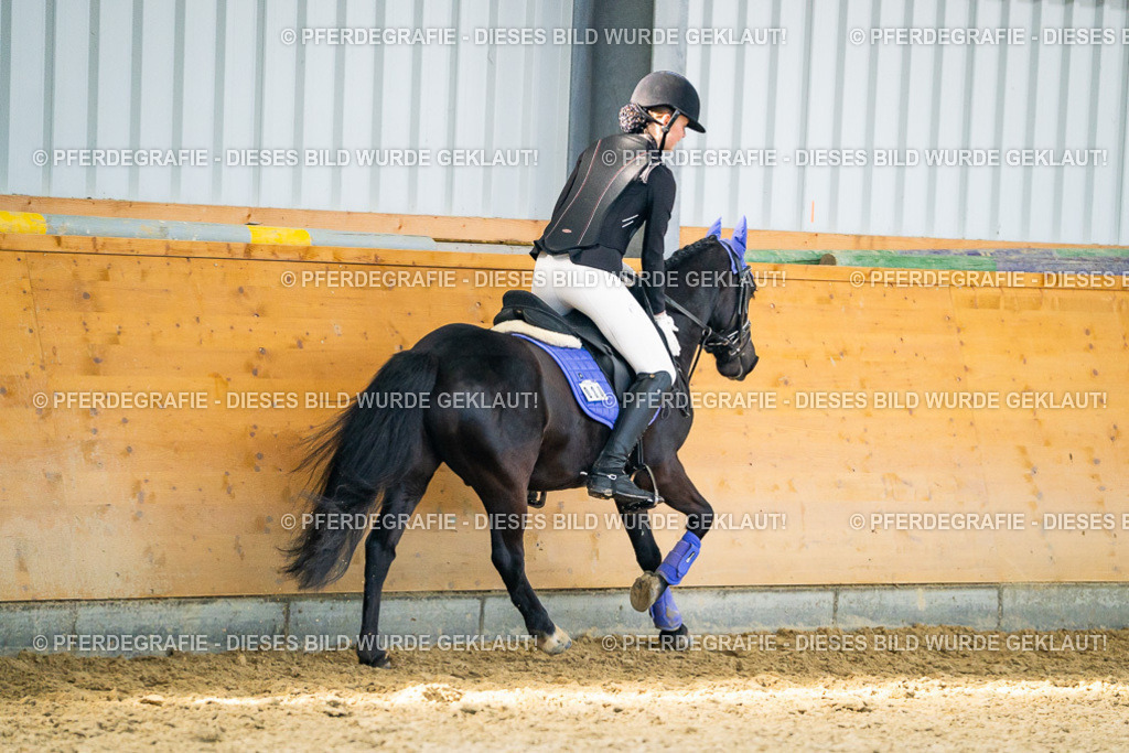 DSC01232 | Pferdegrafie