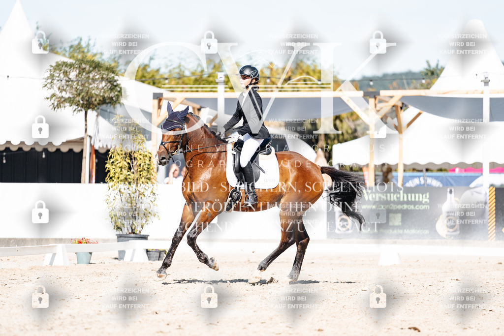 CK908691 | Turnierfotografie Pferdefotografie Trier Rheinland-Pfalz Pferdesport Reitsport Tierfotografie Sportfotografie Pferdevideo Pferdevideografie Equestrianvideography equestrianphotography  - Realisiert mit Pictrs.com