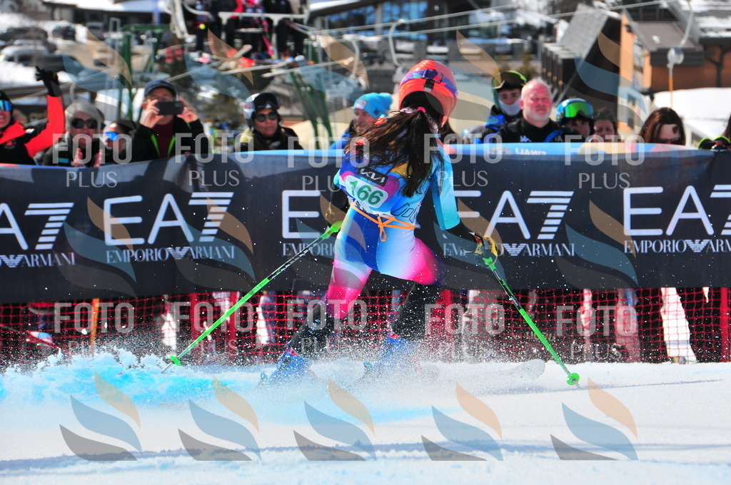 DSC_1500 | holidayphoto