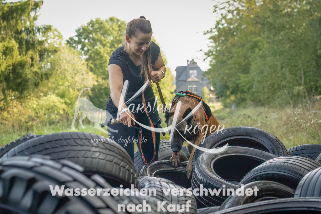 1059_ZZ91071-Bearbeitet-2 | kk-dogfotos