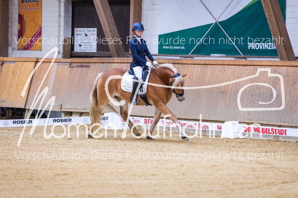 Sth-A-Dre-1St-076 | MomenTaufnahmen Pferdesportfotos