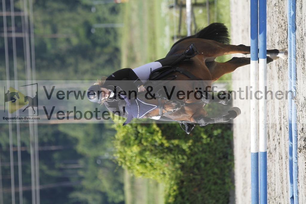 _MG_1613 | equestrian-live-com