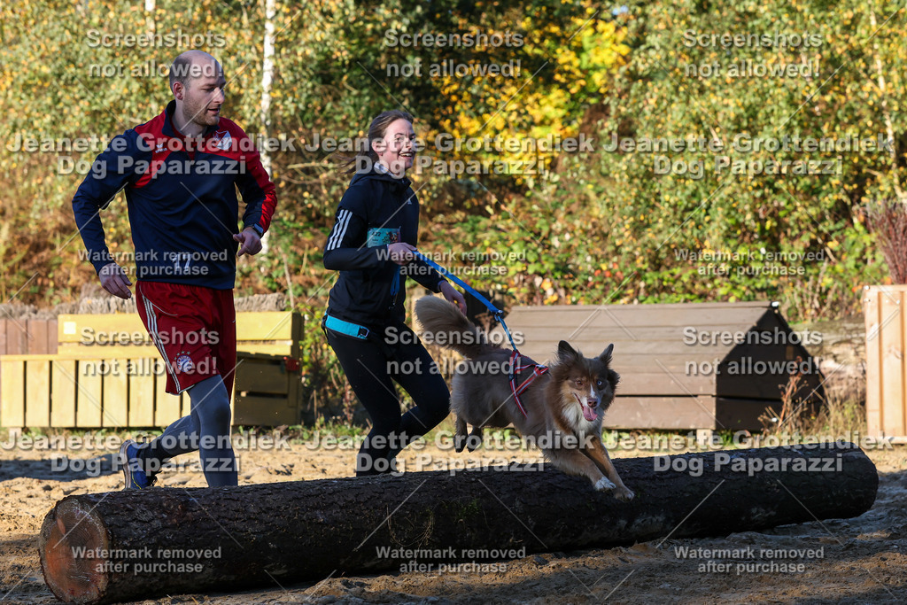 Dog Paparazzi - Strongdog 10-25-1094 | Dog Paparazzi Jeanette Grottendiek Fotografie & Videografie - Realisiert mit Pictrs.com
