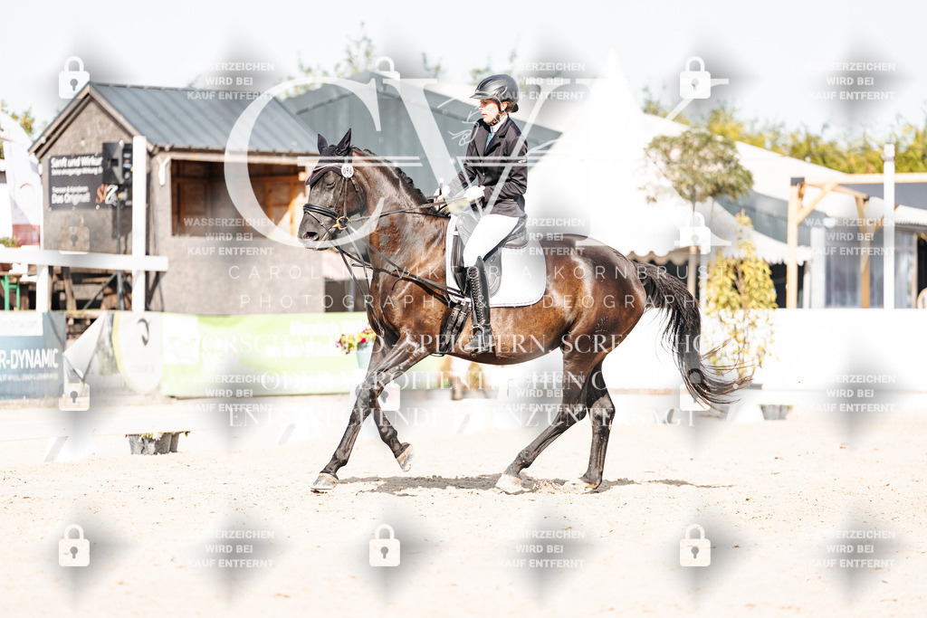 CK905644 | Turnierfotografie Pferdefotografie Trier Rheinland-Pfalz Pferdesport Reitsport Tierfotografie Sportfotografie Pferdevideo Pferdevideografie Equestrianvideography equestrianphotography  - Realisiert mit Pictrs.com