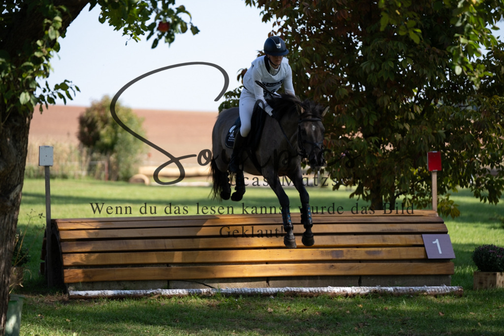 A7V03405 | Pferdefotograf