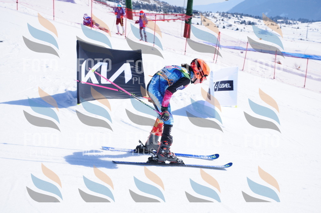 DSC_4319 | holidayphoto