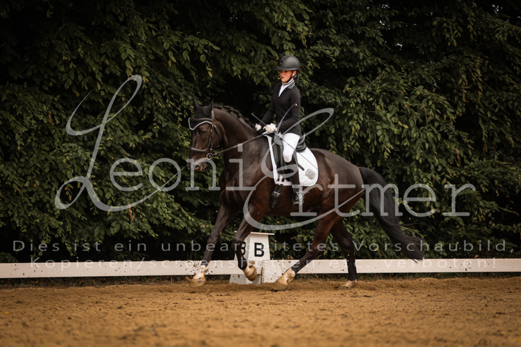 DoDrE00218 | Leoni Ertmer Photography - Realisiert mit Pictrs.com