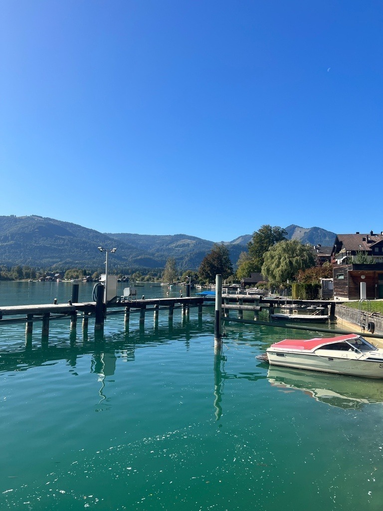 IMG_8701 | ace - Realisiert mit Pictrs.com