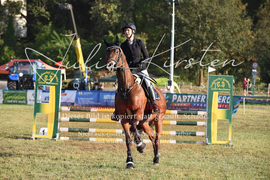DSC_4849 | Pferde- und Turnierfotografie in Westsachsen. Pferdeportraits, Auftragszeichnungen und intuitive Kunst.