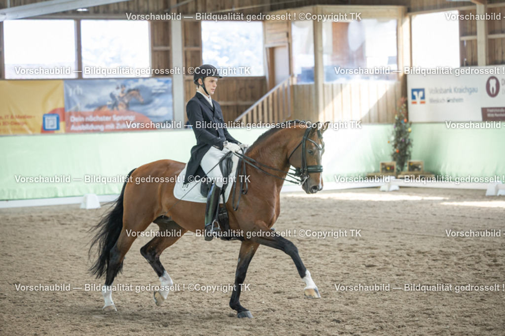 _D5A9733 | Emotionale Pferde- & People-Fotografie rund um Heidelberg, Leimen & Umgebung. Natürliche Fotos von Pferd, Mensch & Familie. Jetzt Termin sichern!