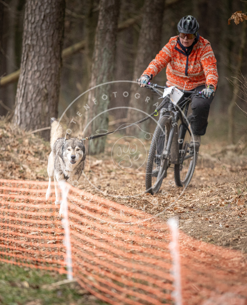 Pfotenfotografie_DV3A1654 | Hundefotografie, Tierfotograf, Pfotenfotografie, Fotoshooting Hund, Hunde Portrait, Hundesport, Hundeportraits, Heideshooting, Hunde, Sportfotograf, Hundefotograf, Turnierhundsport, THS,  - Realisiert mit Pictrs.com