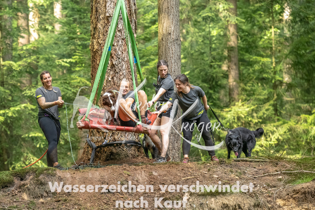 1351_ZZ93809-Bearbeitet | kk-dogfotos