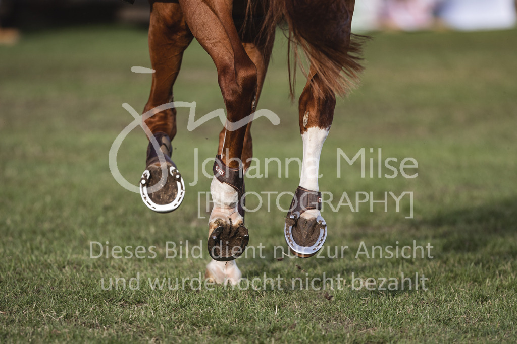 230715_LC_Punkte-S_HufeStollen-832 | Verkauf nur auf Anfrage