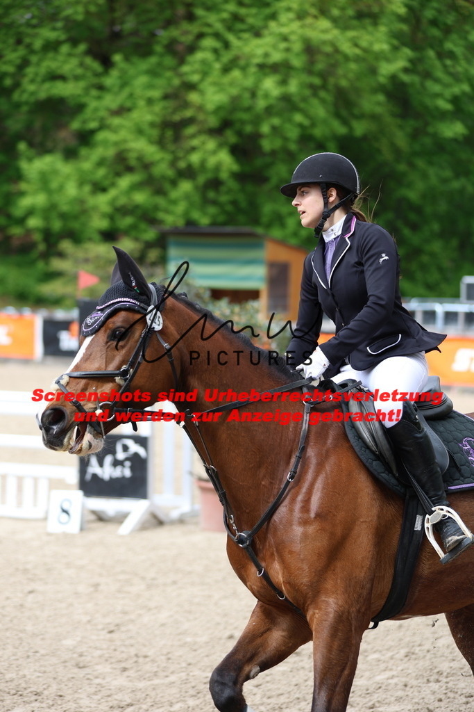 A40A1420 | lmwpictures - Realisiert mit Pictrs.com