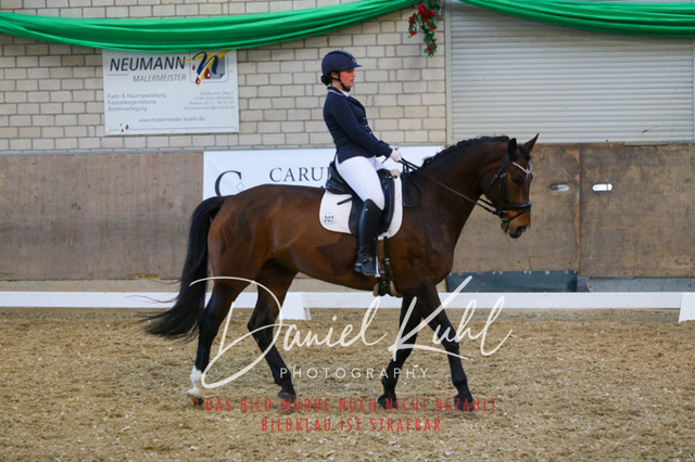 IMG_2735 | Turnierfotos kaufen im Webshop von Daniel Kuhl Photography – entdecke professionelle Reitsportfotos aus Turnieren & Events. Hochwertige Turnierbilder online bestellen & sichern. Jetzt Fotos von Reitsportturnieren kaufen!