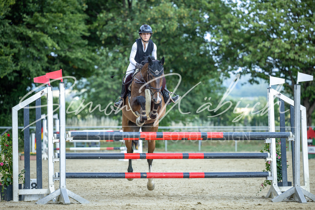 20260704-_3LI2228 | Tierfotografie Pferde, Hunde, Katzen, Haustiere.
Turnierfotografie Reitturniere, Reiten, Springreiten, Dressur in Hanau, dem Main-Kinzig-Kreis und dem Rhein-Main- Gebiet um Frankfurt