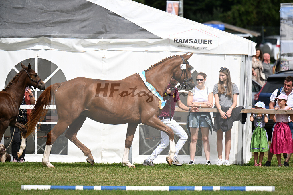 Kat-Nr. 57 Ottlilie v. Diamond Hit_Fischer_30251331 | hf-fotografie - Realizzato con Pictrs.com