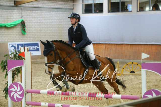 IMG_0695 | Turnierfotos kaufen im Webshop von Daniel Kuhl Photography – entdecke professionelle Reitsportfotos aus Turnieren & Events. Hochwertige Turnierbilder online bestellen & sichern. Jetzt Fotos von Reitsportturnieren kaufen!