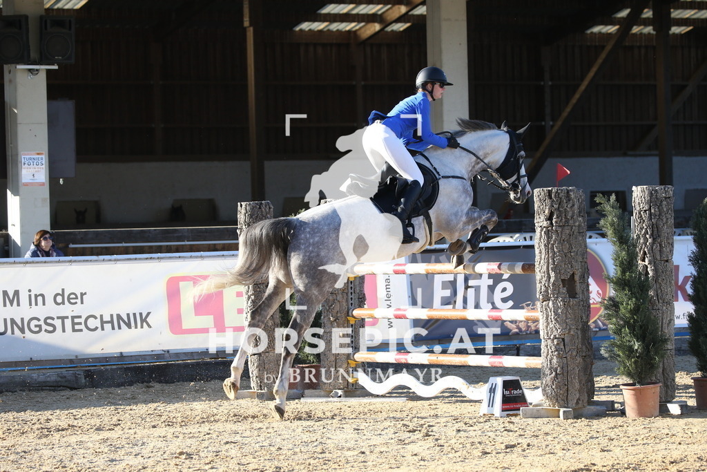 DL2Q4386 | Willkommen bei Brunnmayr - Design & Fotografie – Ihrem Spezialisten für Reitturniere und Pferdeveranstaltungen in Oberösterreich, Salzburg und Bayern! Seit über 17 Jahren sind wir leidenschaftlich dabei.