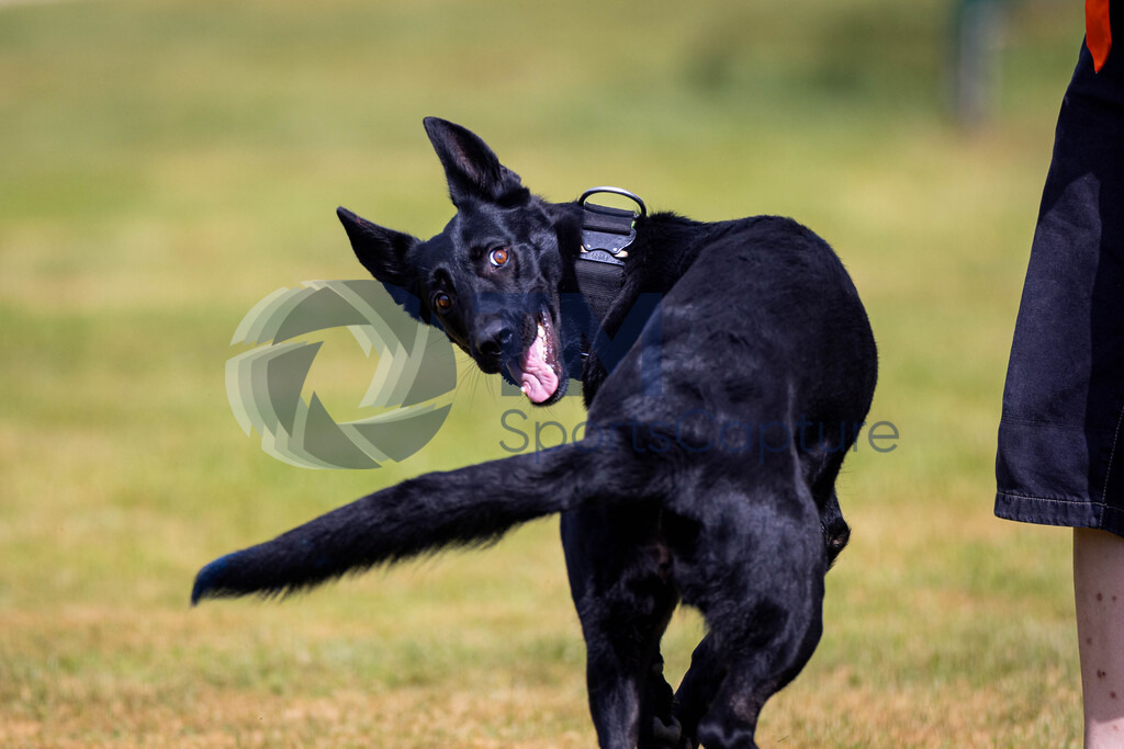 TP-20240815-0156 | Copyright: Trainproduction / Matthias Trinkl