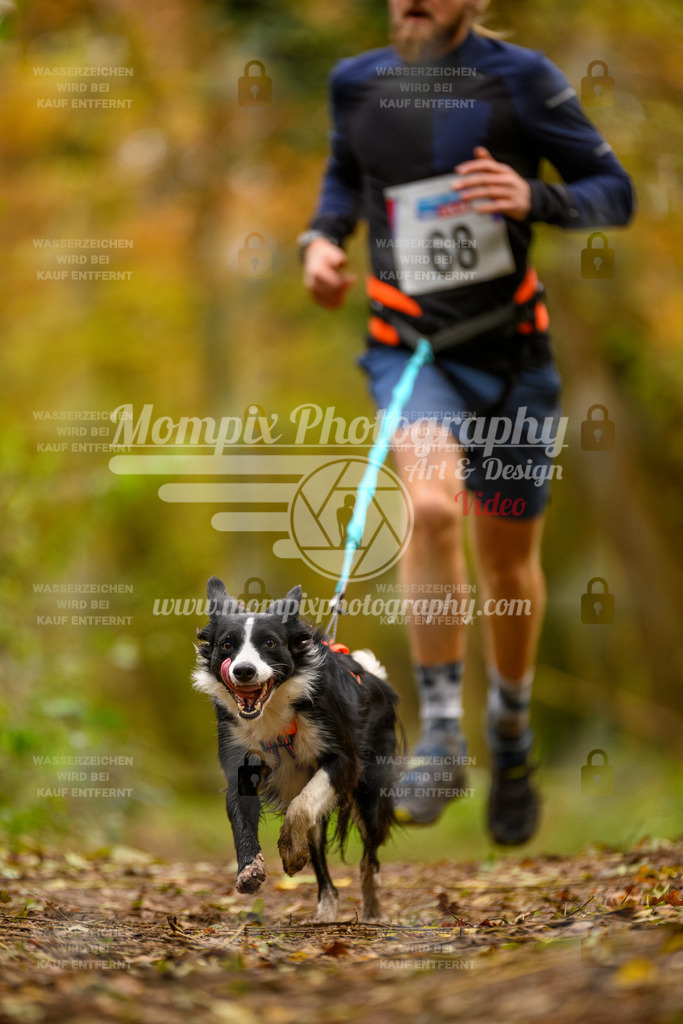 MompixPhotography_Bischwiller24_SA_Canicross-80 | PayLife