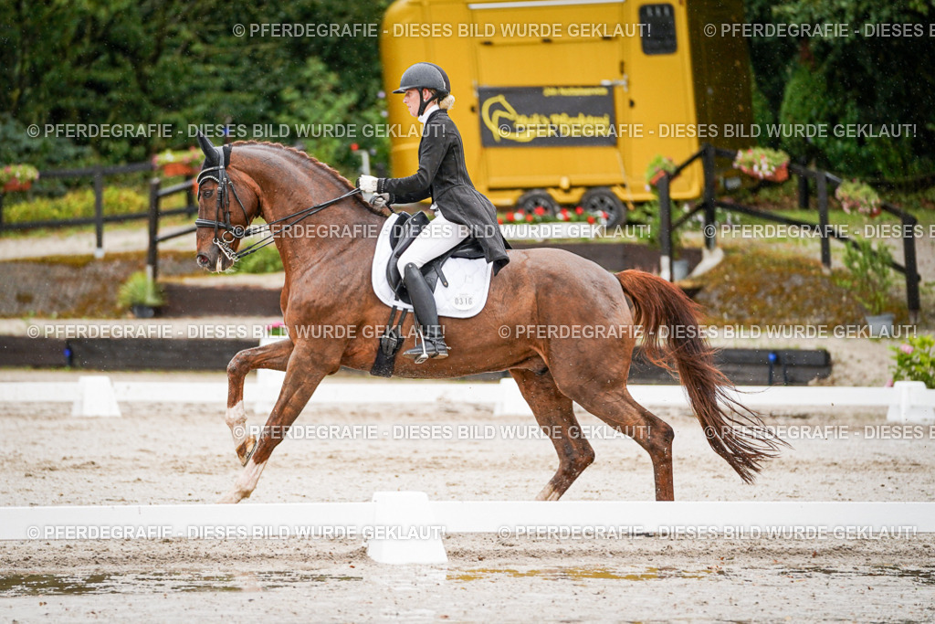 DSC09334 | Pferdegrafie