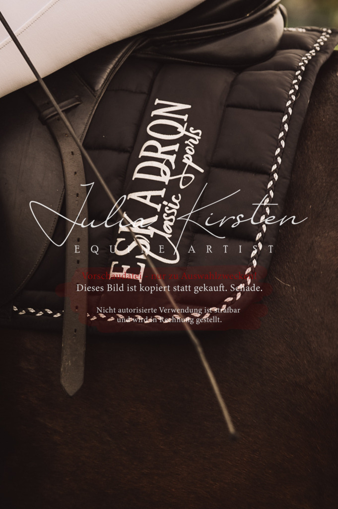 DSC_5045 | Pferde- und Turnierfotografie in Westsachsen. Pferdeportraits, Auftragszeichnungen und intuitive Kunst.
