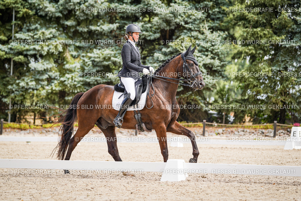 DSC03493 | Pferdegrafie