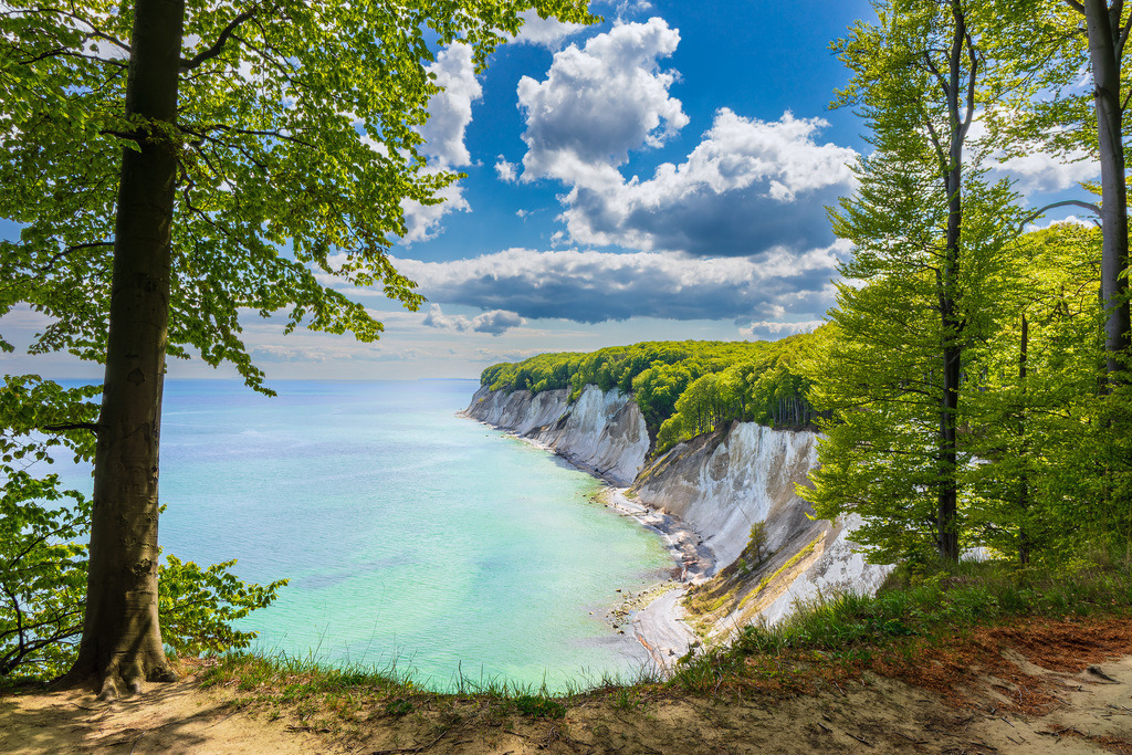 Kreidefelsen an der Küste der Ostsee auf der Insel Rügen | Kreidefelsen an der Küste der Ostsee auf der Insel Rügen.