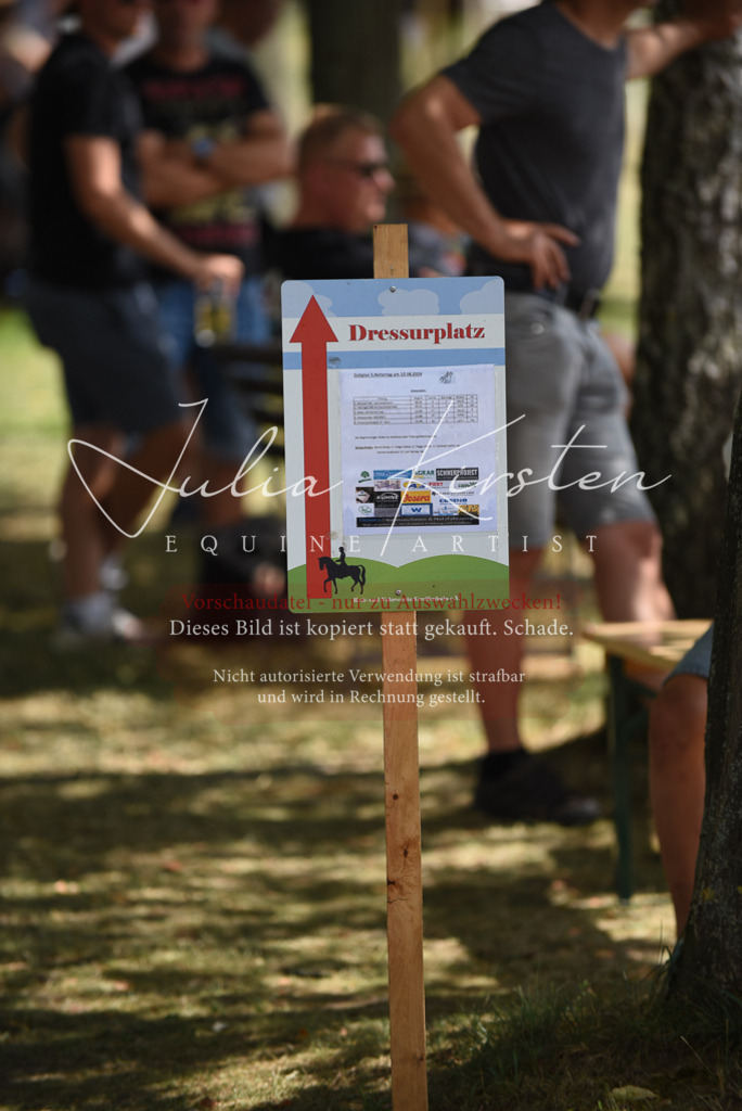 DSC_6421 | Pferde- und Turnierfotografie in Westsachsen. Pferdeportraits, Auftragszeichnungen und intuitive Kunst.