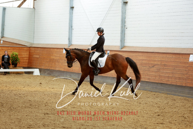 _62_4704 | Turniersportfotografie; Pferdefotografie; Dressurfotografie